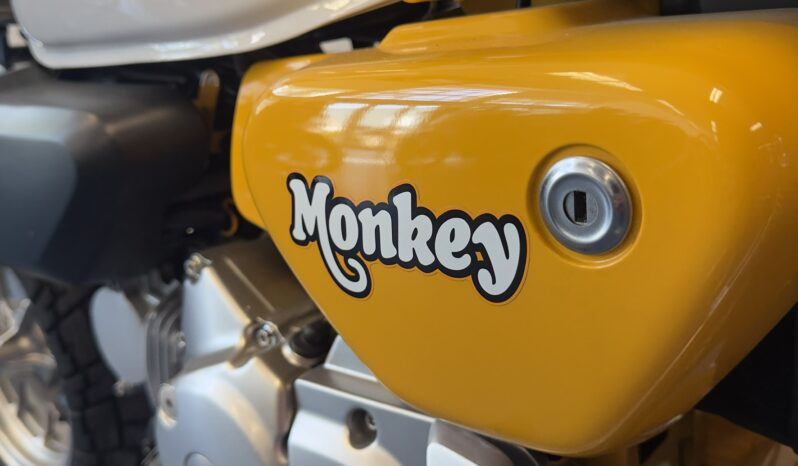 
								Honda Monkey 2019 vol									